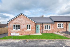 Photo 1- click for photo gallery